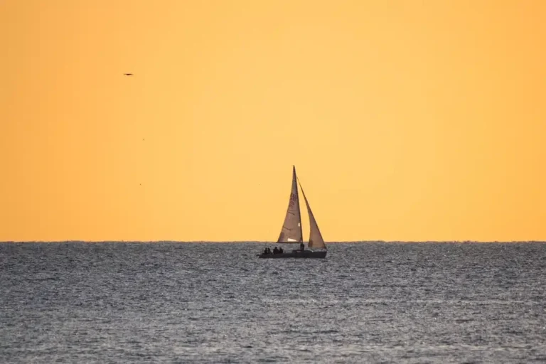 4957-48ba-9576-6f8a3ae6a018-1-105-c